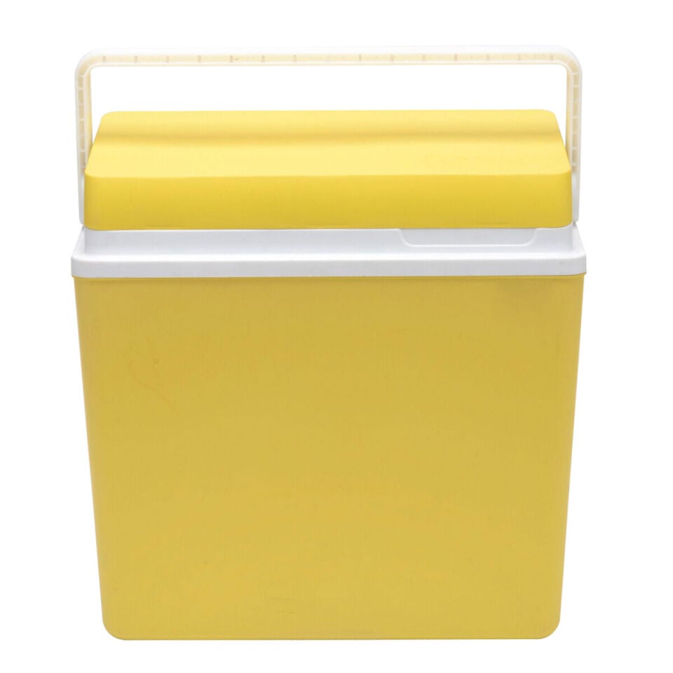 Icepeak SF25 Buzluk 25 Litre-SARI